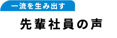 一流を生み出す先輩社員の声
