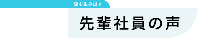 先輩社員の声